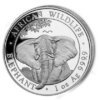 Moneda 1 Onza Plata / 31.1 Gramos / Elefante Somalia / Año 2021 Onza Plata.