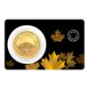 Moneda de Oro lavado de oro - Klondike Rush Canada 2021