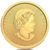 Moneda de Oro lavado de oro - Klondike Rush Canada 2021