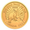 Moneda 1/10 Onza 3,111 Gramos oro Oso Polar Canada Año 2022