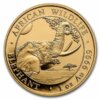 Moneda 1oz de Oro 999 Elefante Fauna Africana, 1000 shillings 2023 Somalia