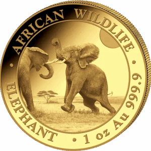 Moneda 1oz de Oro 999 Elefante Fauna Africana, 1000 shillings 2024 Somalia