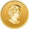 Moneda oro oso grizzly Canadá 1 onza 31.10 g 200 dólares 2016