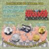Serie de monedas de oro y plata de 13,5 gr y 27 gr 2008 España LEI 999 FNMT "Campeones de Europa 2008" - Imagen 8