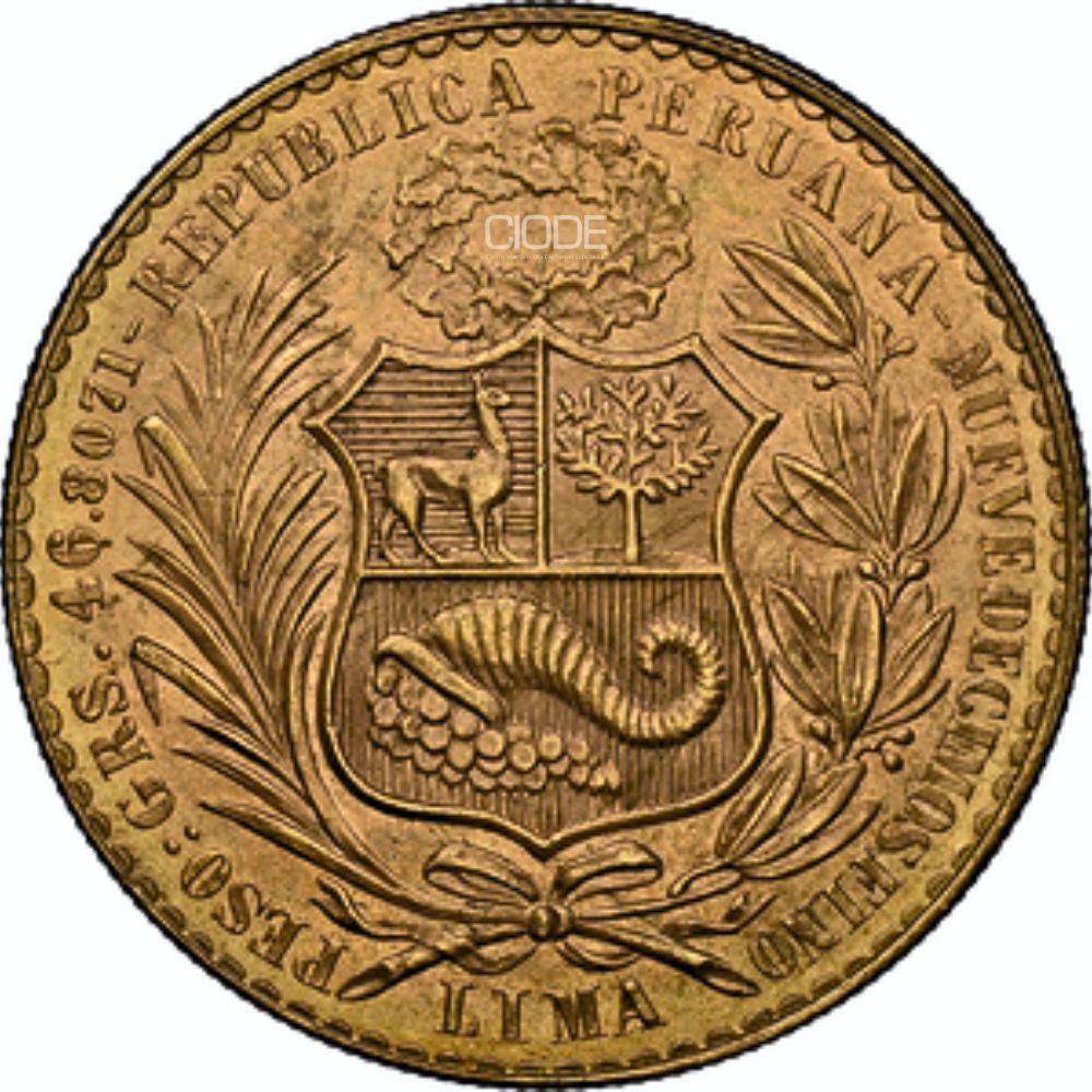 PERU 1965 NGC M64 2
