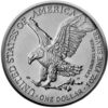 USA AG 31.1G 999 2022 1DO